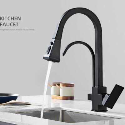 Black Brass Multi-functional Pull Out Spray T-Pipe Drinking Water Kitchen Tap TB0228D