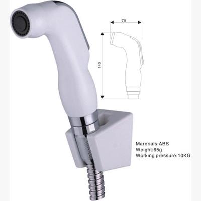 Hand Held Bidet Spray Silver DA006