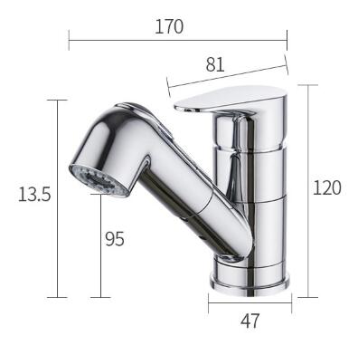 Modern Widespread Pull Out Bathroom Sink Tap (Chrome Finish) T0545