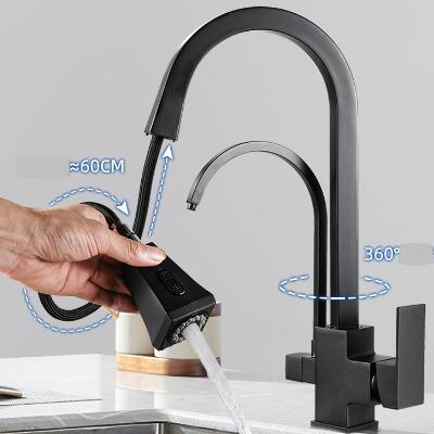 Black Brass Multi-functional Pull Out Spray T-Pipe Drinking Water Kitchen Tap TB0228D